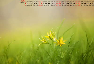 ​快板新年祝福台词