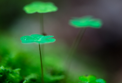 ​祝福好友留言的句子大全精选(精选42句)