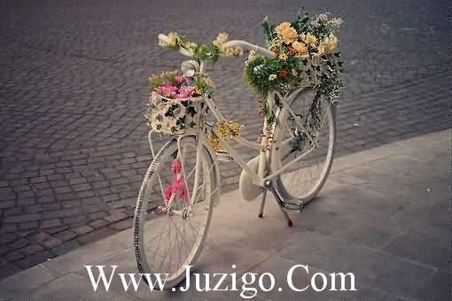 给50岁的姐姐生日祝福语 给姐姐的生日祝福语(50句)