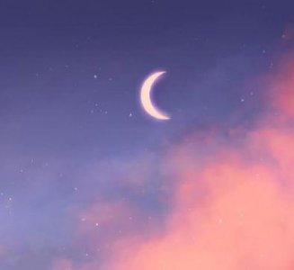 ​2025情人节新颖甜言蜜语文案 情人节暖心文案(精选97句)