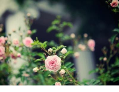 送给闺蜜祝福语