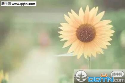 幼师对幼儿温馨祝福语