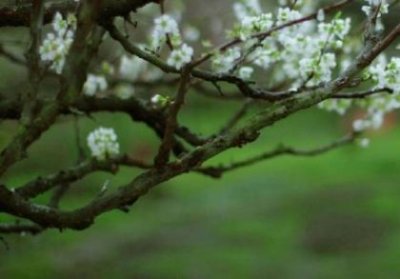 ​幼师对幼儿温馨祝福语[40句] (写给老师的祝福语)