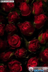 新婚大喜祝福语图片（新婚祝福语创意简短八字）