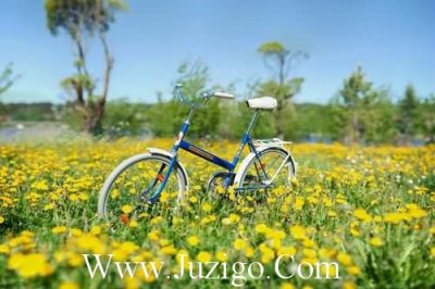 ​给情人新年快乐祝福语(祝长辈新年快乐的祝福语)