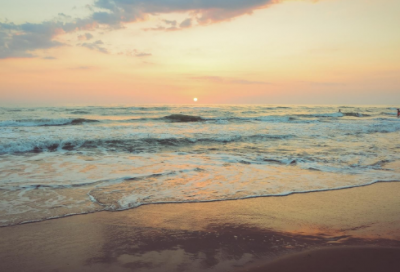 最新的三八妇女节短信祝福语大全【精选100句】