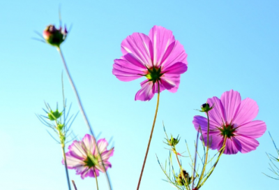 ​结婚登记祝福语简单句(推荐70句)