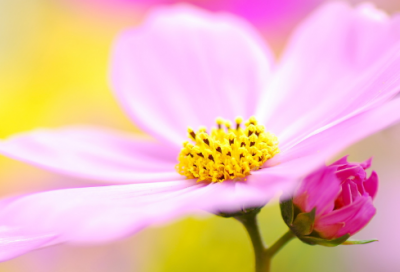 八月十五祝福语