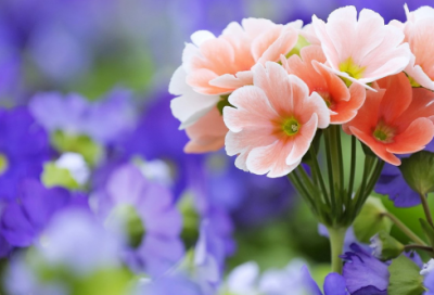 ​腊八节祝福短句（精选60句）