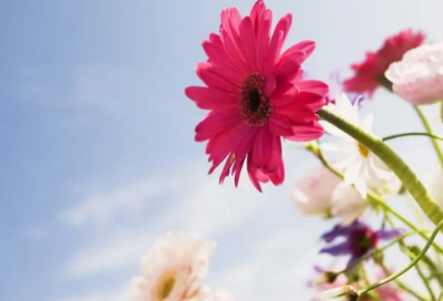 朋友生日祝福短信