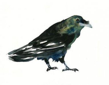 ​七夕情人节祝福语最感人精选大全(精选73条)