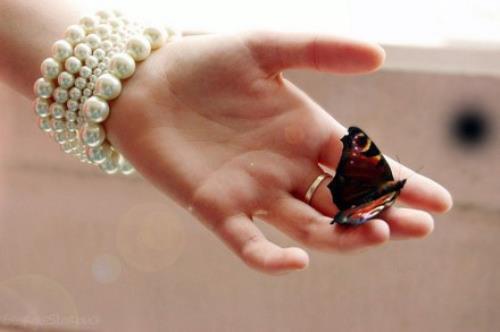 恭喜发财的祝福语