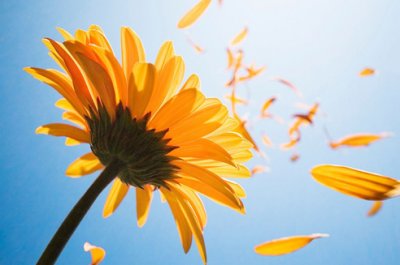 理科生的生日祝福语57句