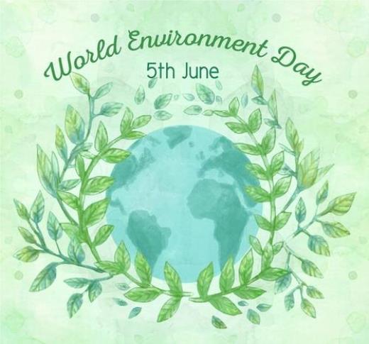 感谢爸妈的生日祝福语