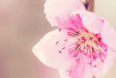 ​多少人利用愚人节表白 愚人节表白套路句子66句