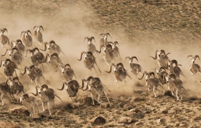 ​曾被马可·波罗称之为”世界最高的地方”，竟是哪儿？