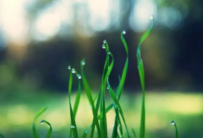 新年英语祝福语