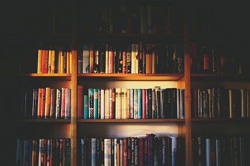 兔年春节祝福语金句 兔年春节祝福语大全(精选90句)