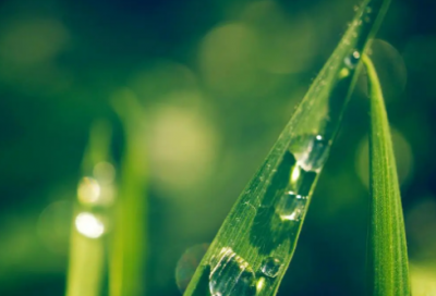 ​妇女节祝福朋友圈文案（通用50句）