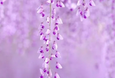 ​新年祝福短信搞笑