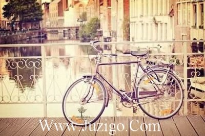 幼儿园的教师节祝福语幼儿园的教师节祝福语(精选77句)