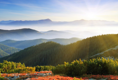 ​经典温馨端午节祝福留言40句精选