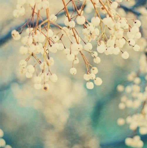 新年送老师的祝福语