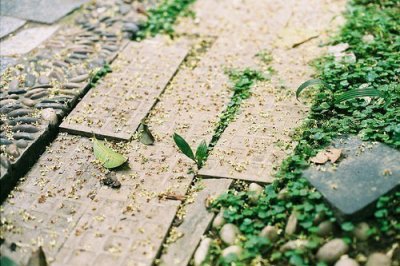 ​公司搬家祝福语54句