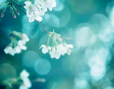 ​乔迁吉祥语(精选37句)