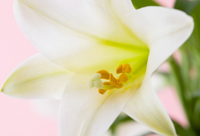 ​中秋节最经典的祝福短信