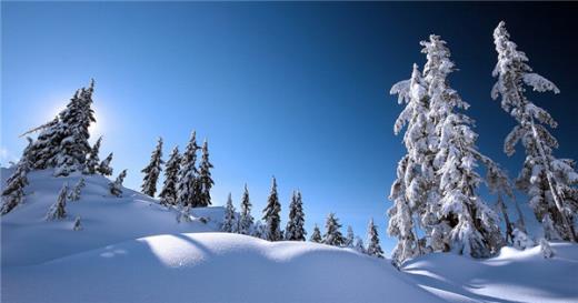 幼儿园感恩节祝福语句子