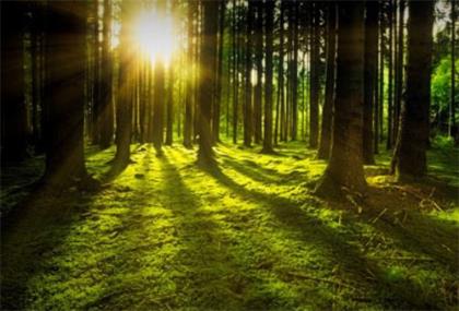 秋分发朋友圈的句子