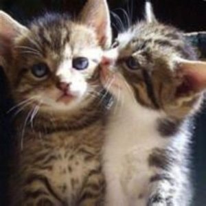 ​秋分节气问候祝福语问候(秋分发朋友圈的句子)