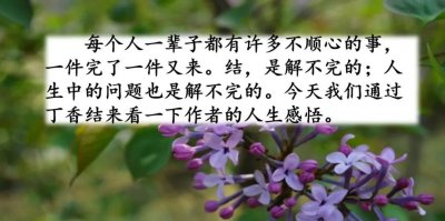 ​部编语文六年级上册第2课《丁香结》知识点+图文讲解+课堂练习