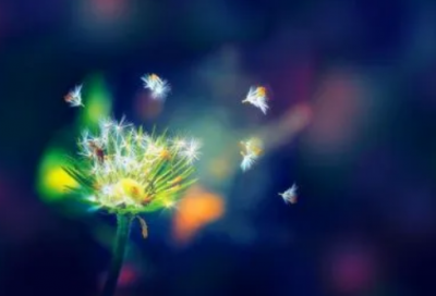 ​带教室的网名大全霸气