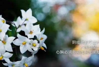 ​80岁生日祝福语 八十岁祝寿佳句58条