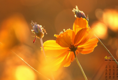 ​真诚简短祝福语