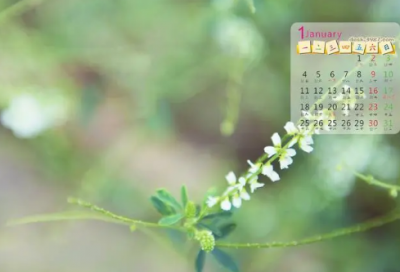 ​关于母亲节祝福朋友圈文案（通用50句）