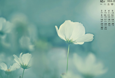 ​给父母的新年祝福语