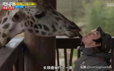 ​综艺之神眷顾的男人：李光洙