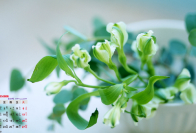 ​新年祝福短信