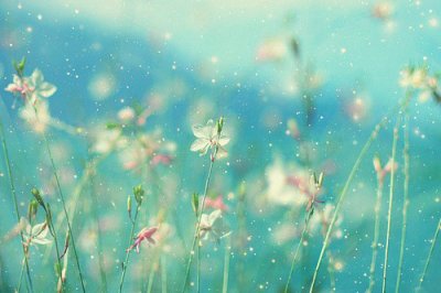 ​端午节粽子幽默短信43句