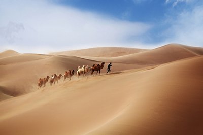 ​老师生病祝福语42句