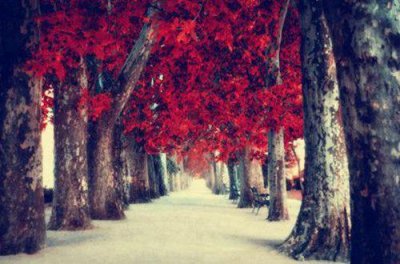 ​小寒节气短信问候语