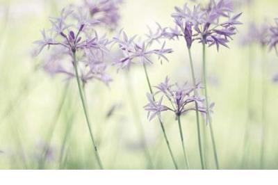 下午好的温馨问候语