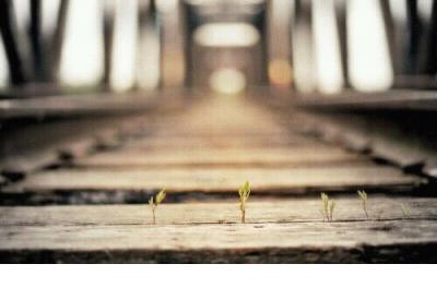 新年对上司祝福语