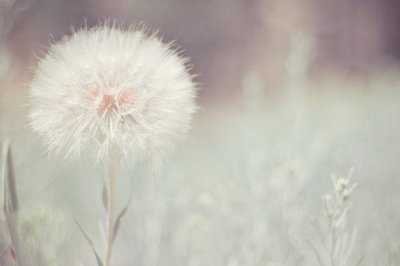 ​朋友父亲悼念短信40句