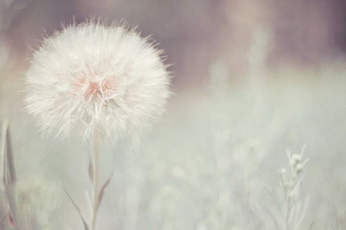 朋友父亲悼念短信40句