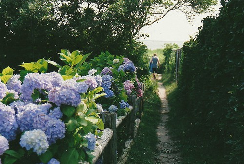 爸妈结婚28年祝福语40句