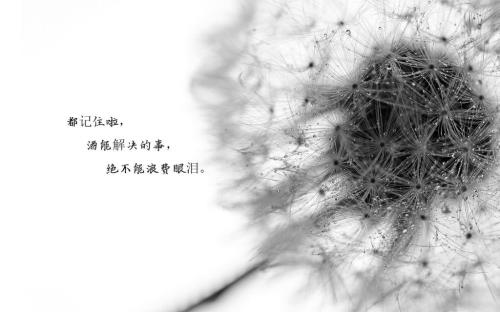 给顾客简短祝福语